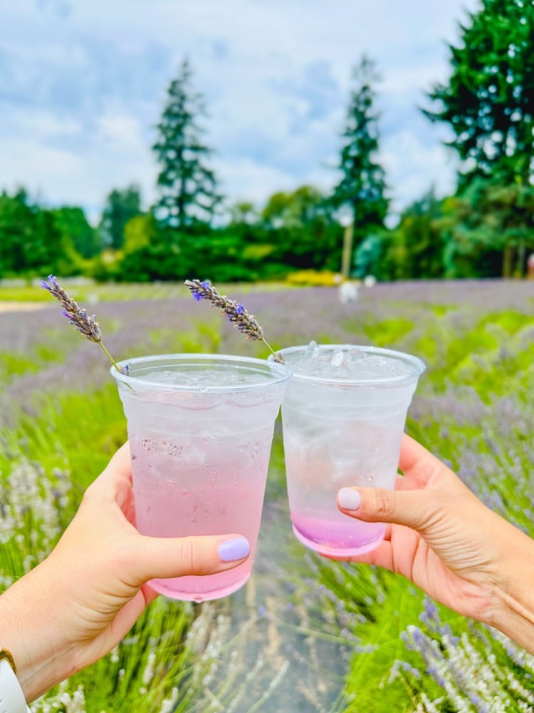 sparkling lavender lemonade