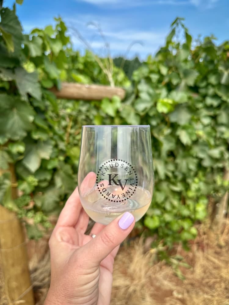 plastic cup of Knudsen wine in vineyard