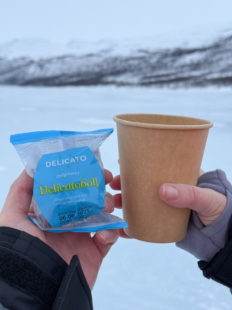 Fika while snowmobiling