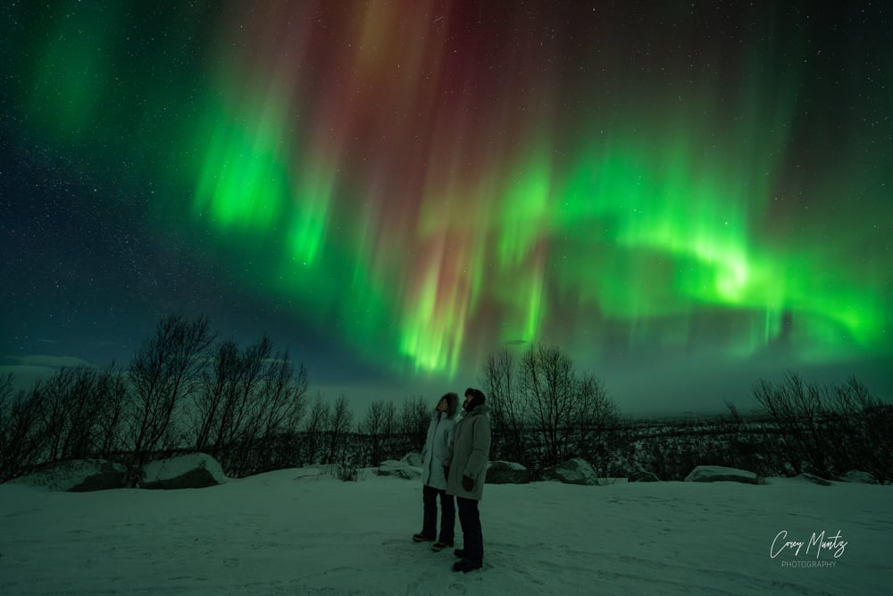 Rachelle and Pete looking up at the neon green and red ribbons of northern lights with bare trees in the background. Photograph by Corey Muntz