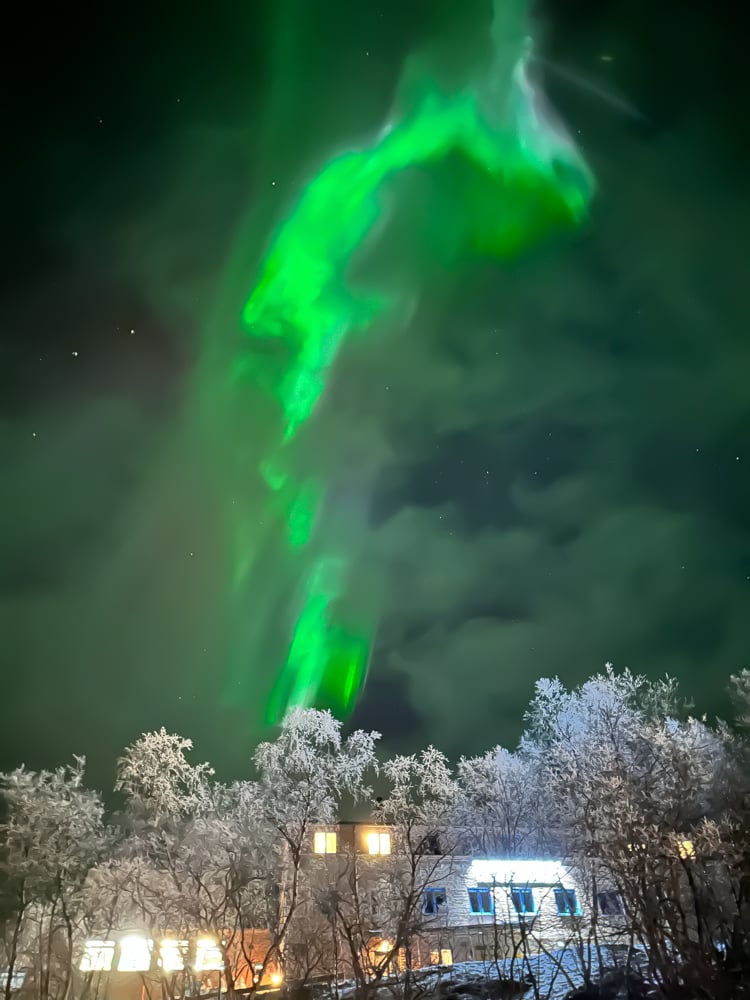 Green northern lights going through a cloud in the shape of a dragon or horse.