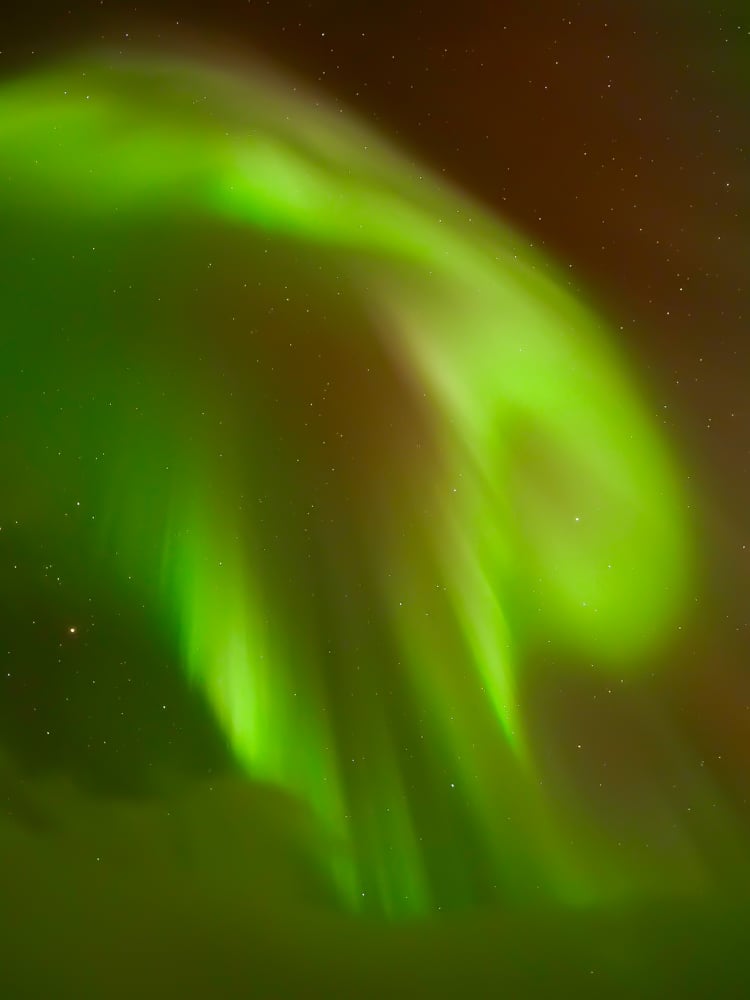 jelly fish shaped aurora photo take by Rachelle Lucas