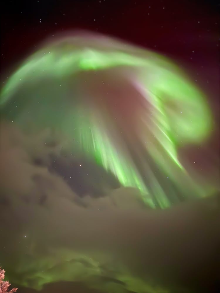 jelly fish shaped aurora photo take by Pete Wallace