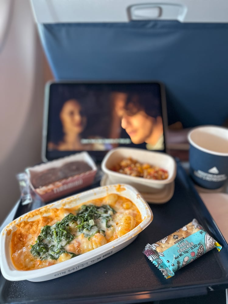 iPad on a delta flight