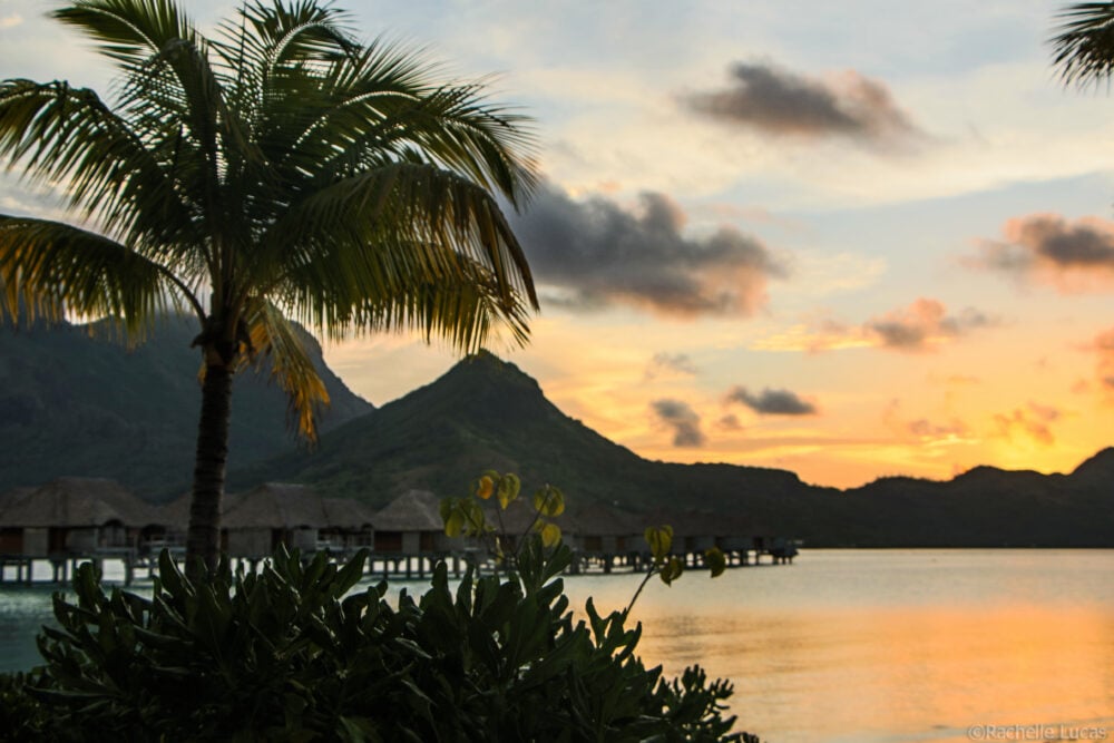 Sunset with palm trees and over water bungalows at Four Seasons Bora Bora