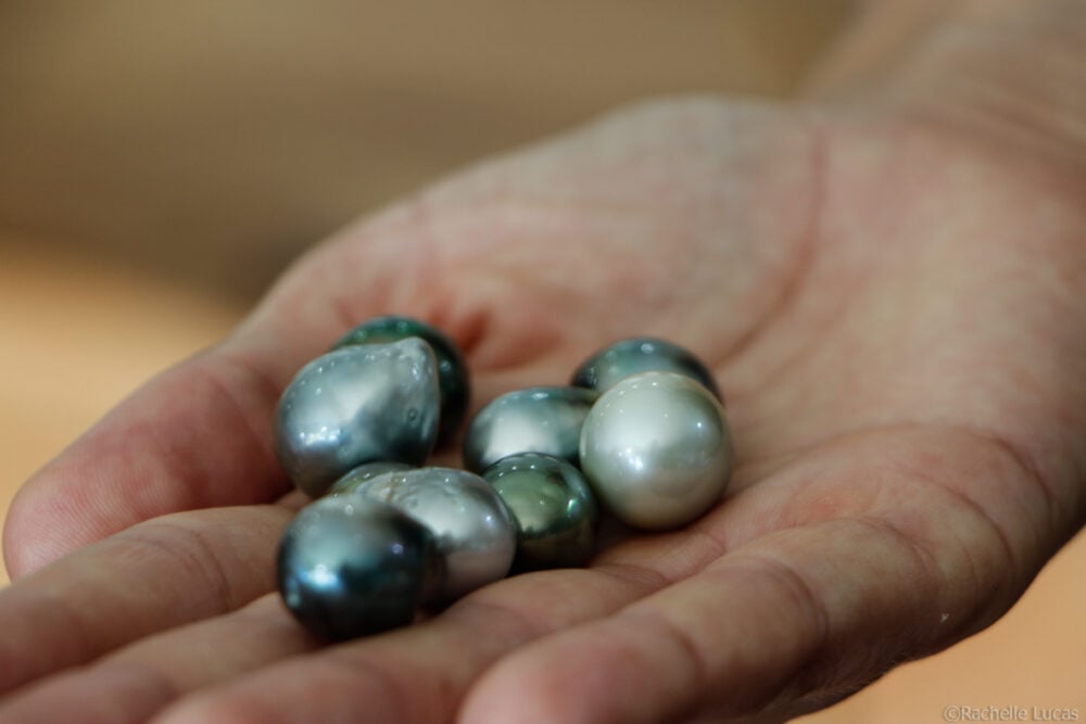 Hand holding ten beautiful bora bora black pearls that haven't been added to jewelry yet