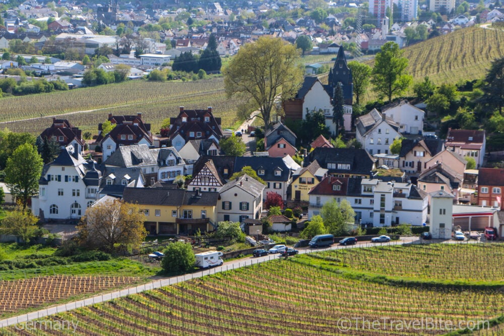 Close up view of village in Rheingau