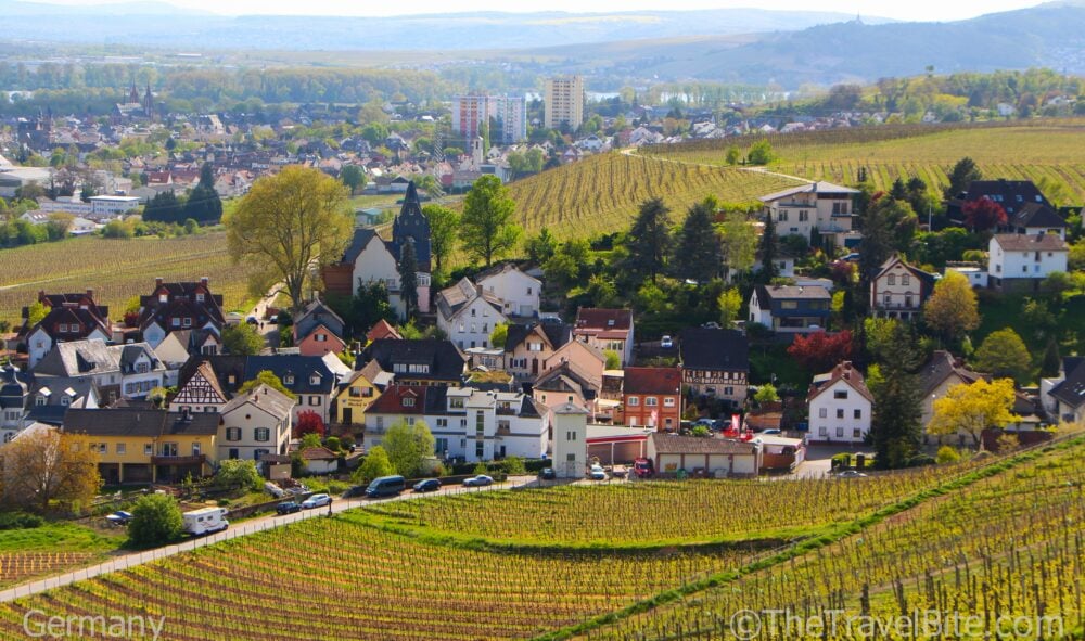 vineyards and village in Rheingau Wine Region