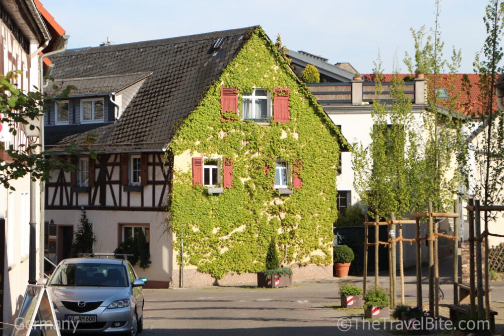 Ivy covered home in Rheingau Wine Region