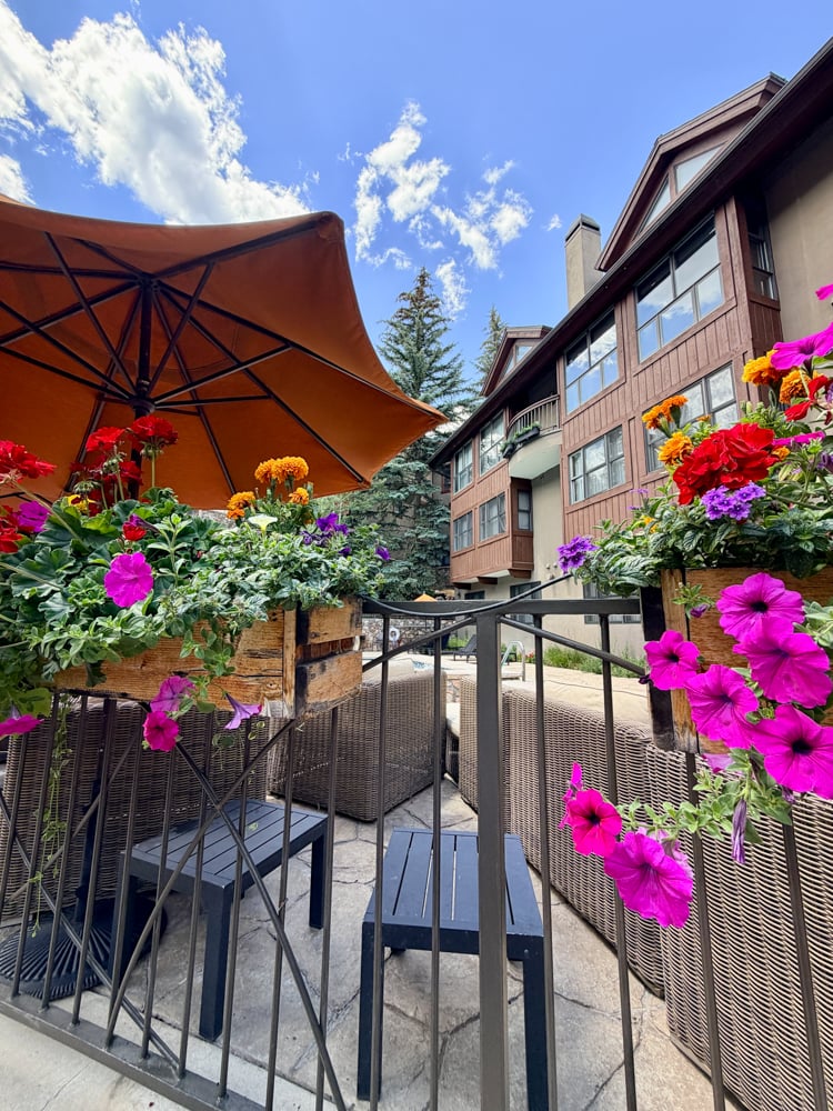 purple and orange flowers under an orange patio umbrella at The Osprey