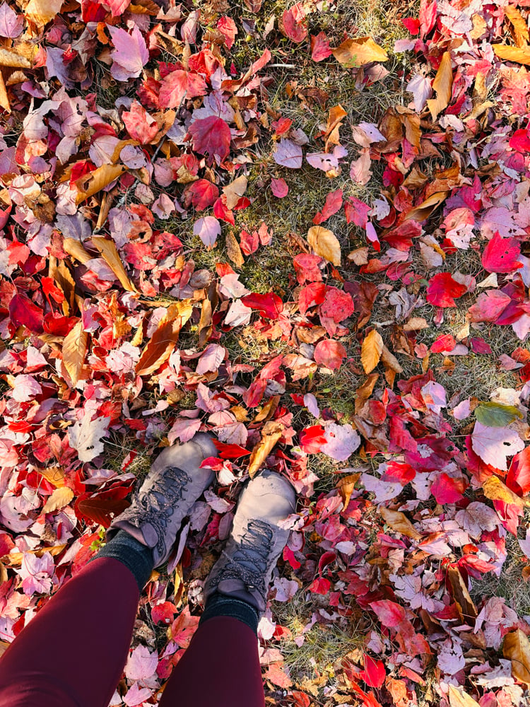 Rachelles boots standing on red fall foliage leaves