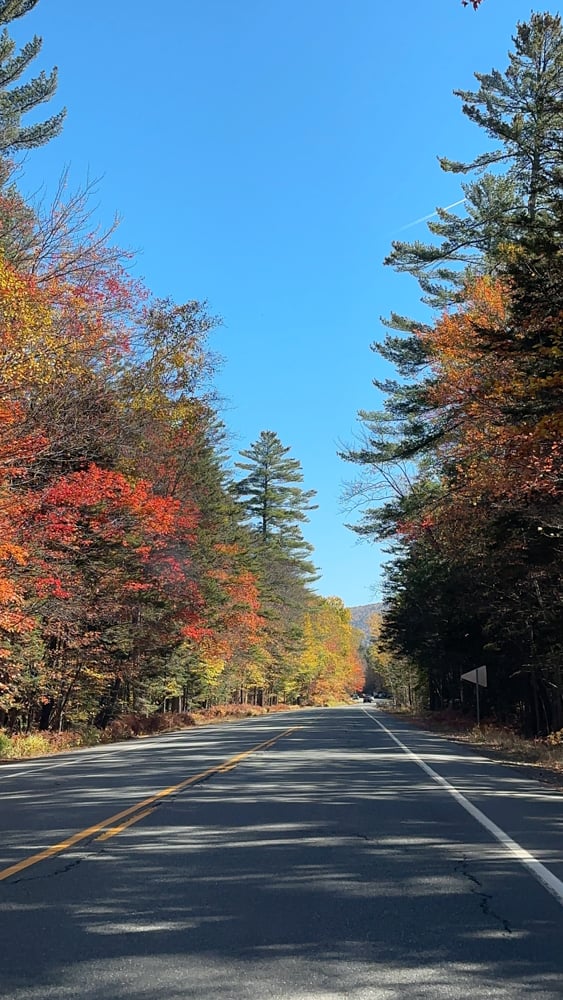 foliage on a New Hampshire fall road trip