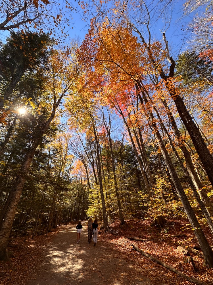 fall foliage path to Sabaday Falls in New Hampshire