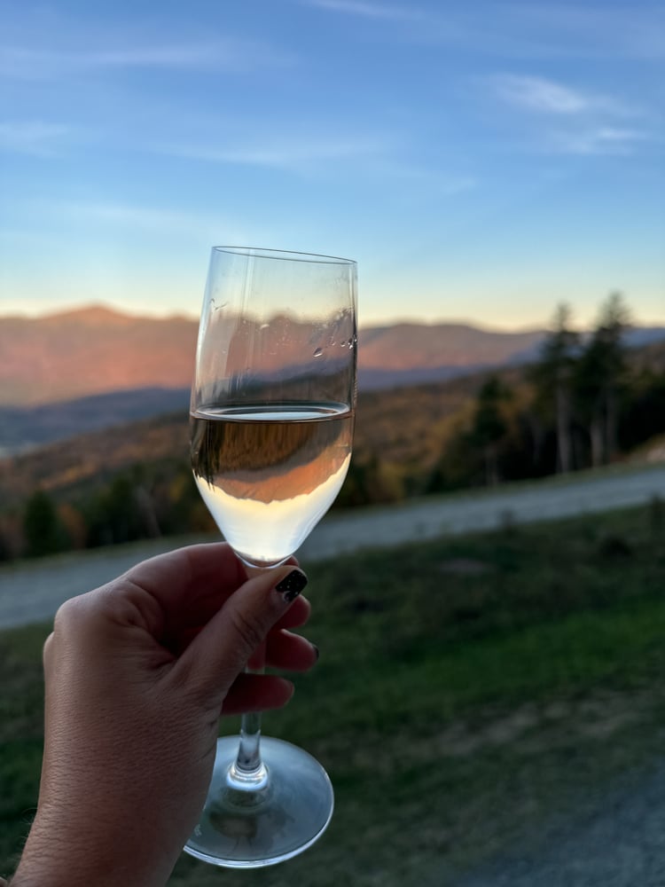 glass of champagne held up to Mountain View
