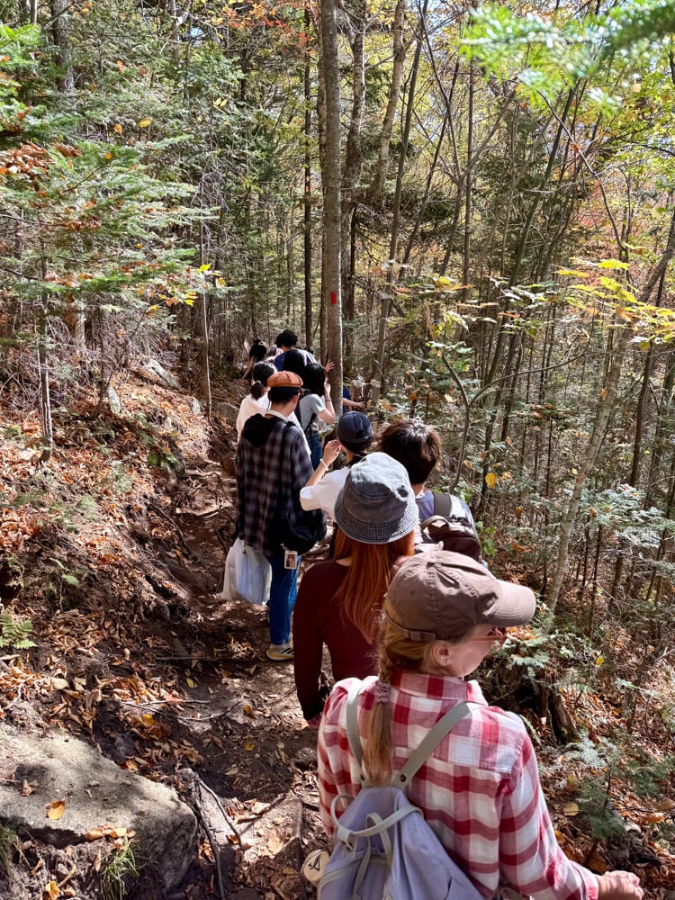 The line of people waiting to get to the viewpoint at artists bluff