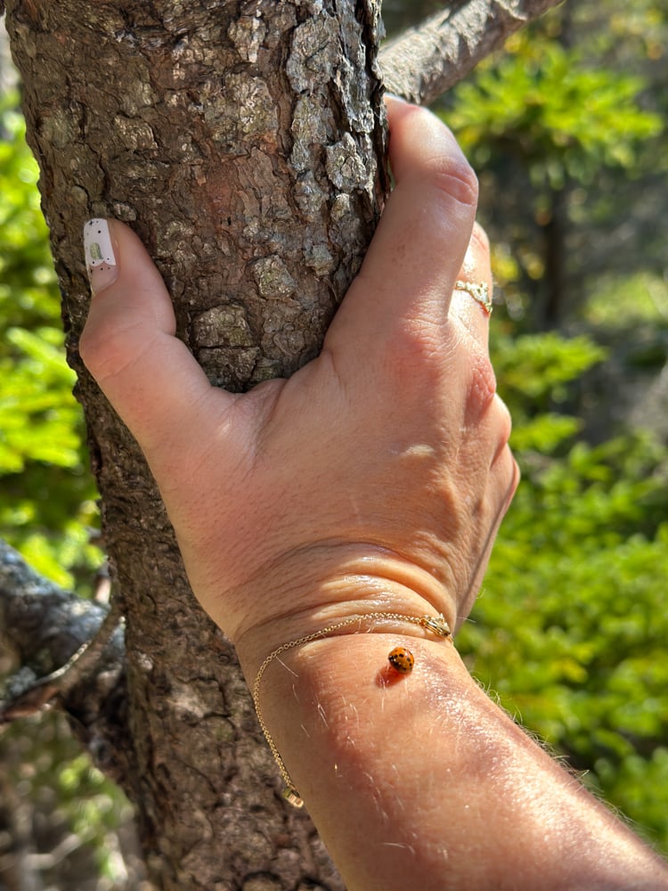 A lady bug on Rachelle's arm