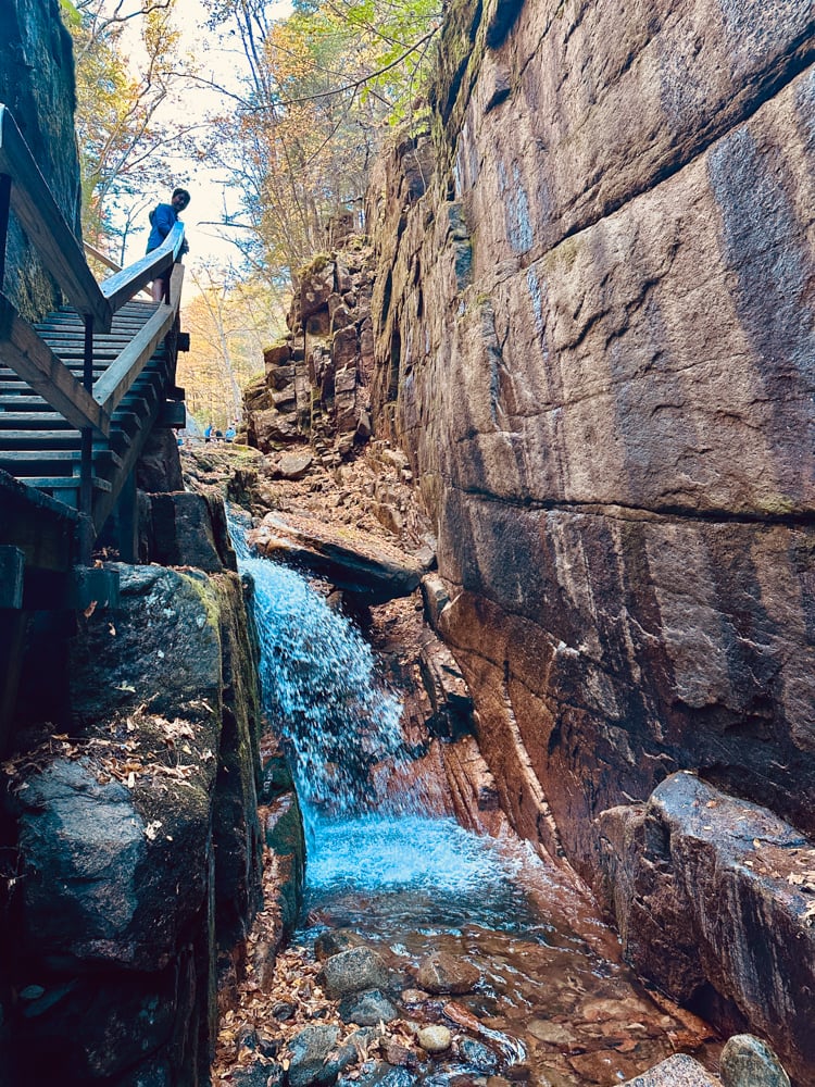 Pete standing on the boardwalk at The Flume