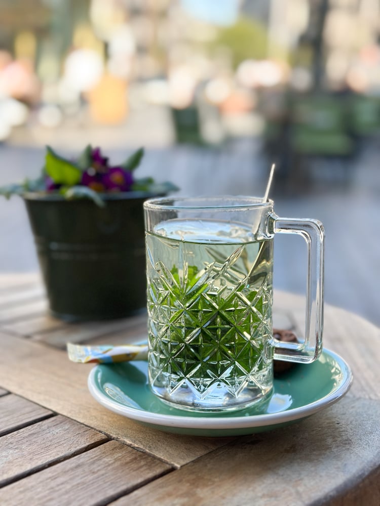 Fresh Dutch mint tea and apple cake at a café in Nijmegen