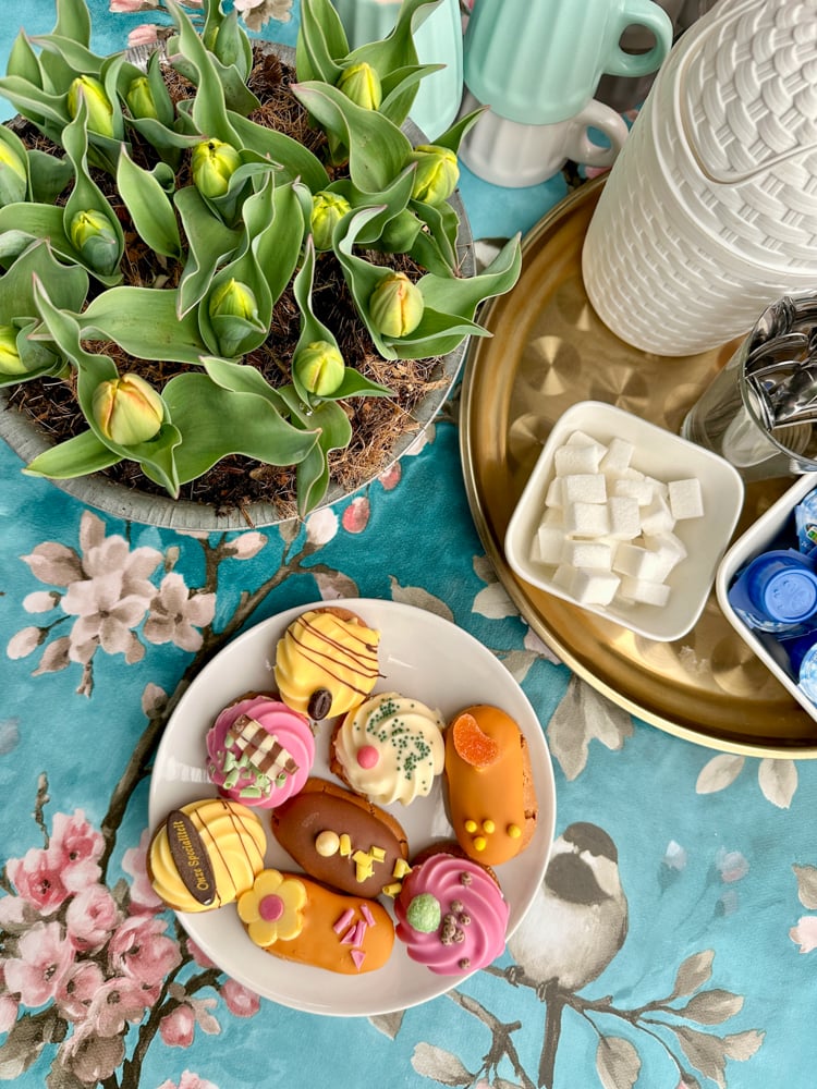 Coffee and cookies at a Dutch tulip farm